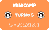 Turno 5